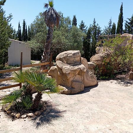 Casa Rural El Carmen De La Sierra Yecla Ngoại thất bức ảnh