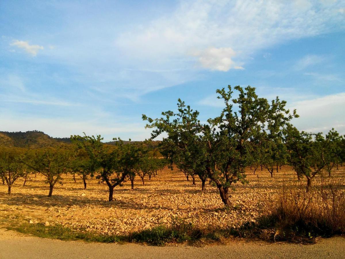 Casa Rural El Carmen De La Sierra Yecla Ngoại thất bức ảnh