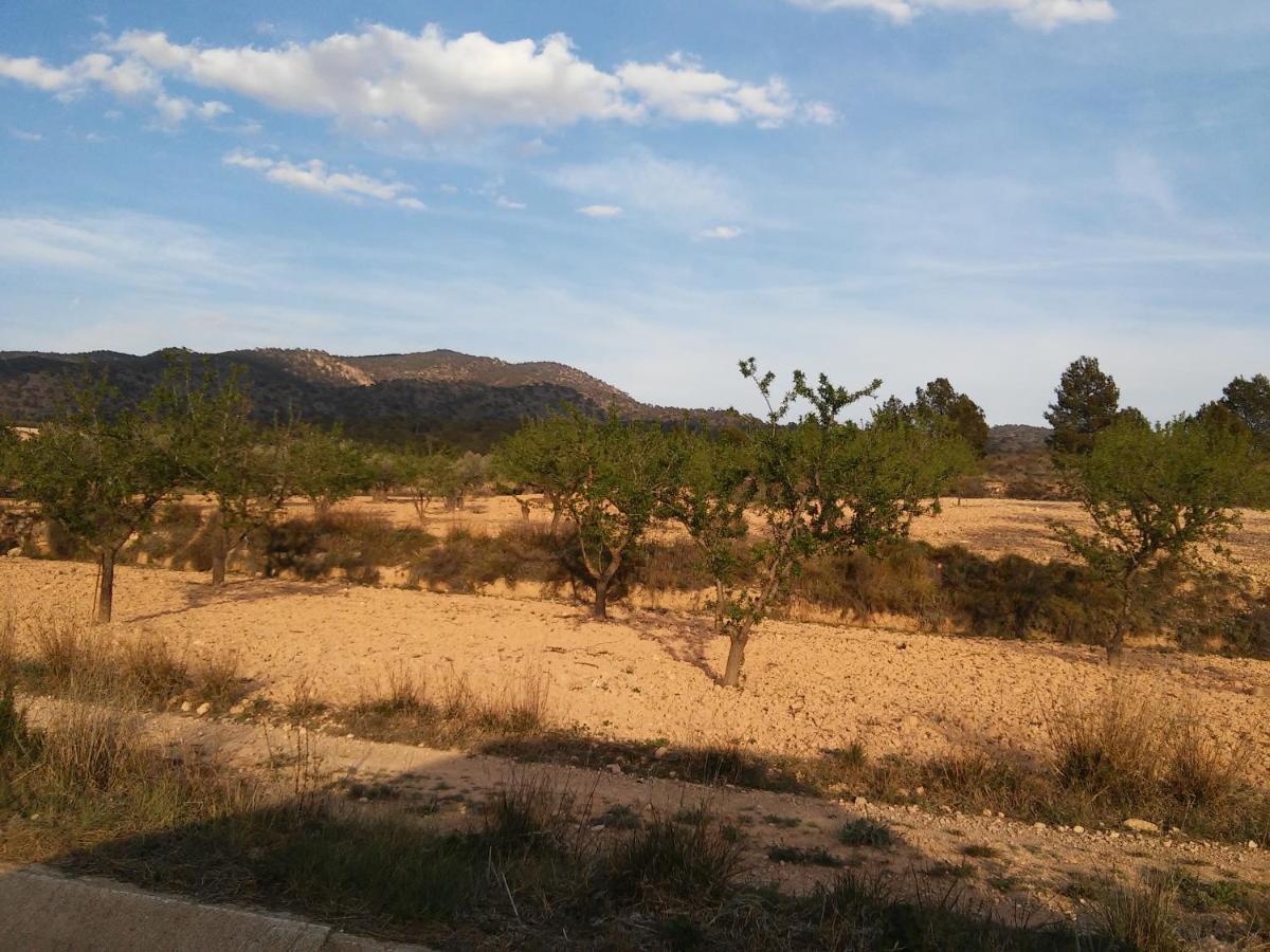 Casa Rural El Carmen De La Sierra Yecla Ngoại thất bức ảnh