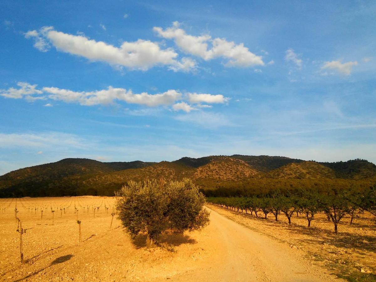 Casa Rural El Carmen De La Sierra Yecla Ngoại thất bức ảnh