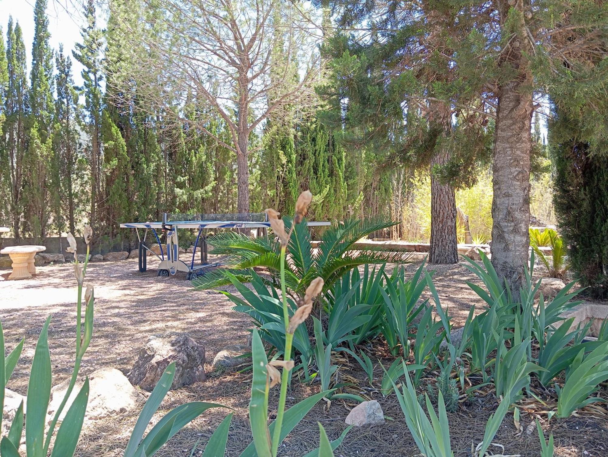 Casa Rural El Carmen De La Sierra Yecla Ngoại thất bức ảnh